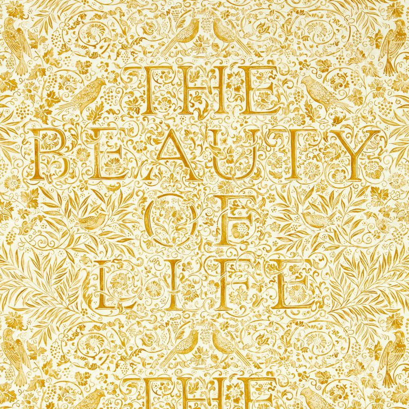 The Beauty of Life Wallpaper Sunflower