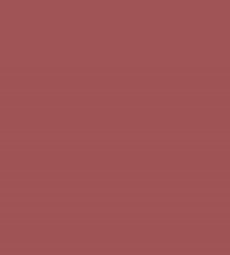 Barbed Berry Chalky Matt Paint Barbed Berry