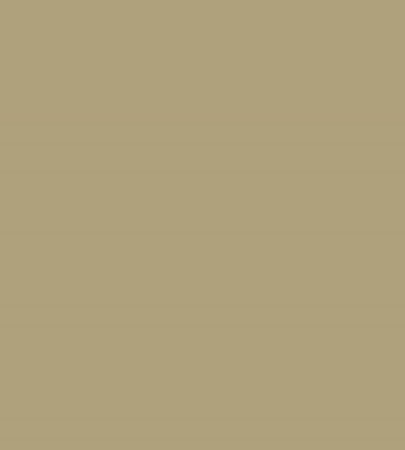 Citrus Stone Chalky Matt Paint Citrus Stone