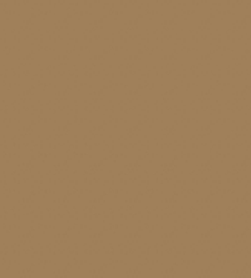 Hares Coat Chalky Matt Paint Hares Coat