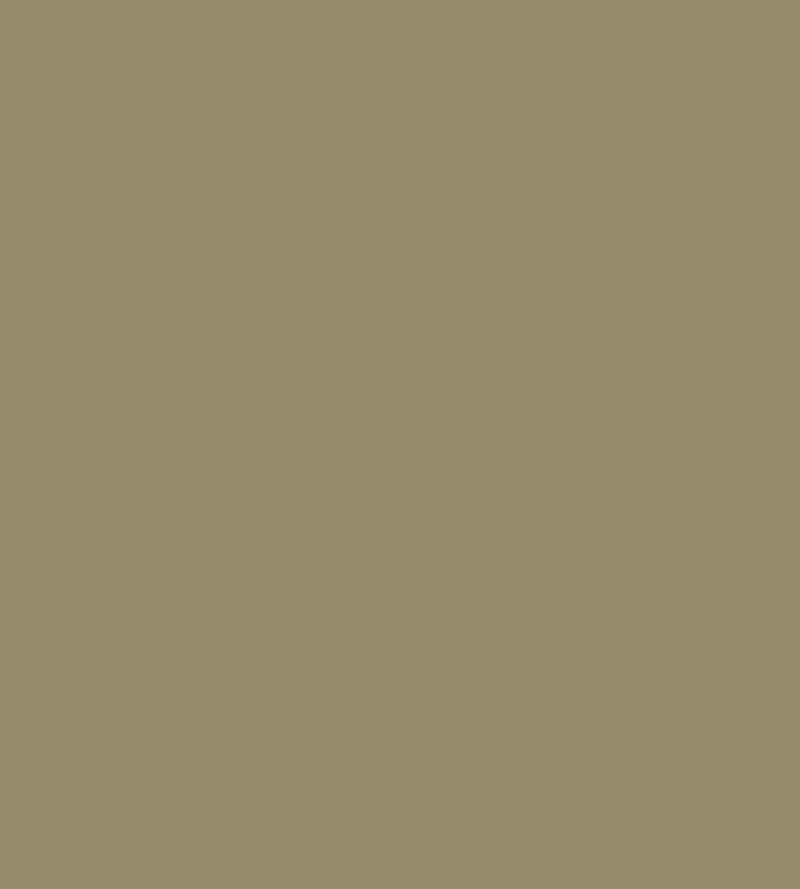 Olive Fruit Acrylic Eggshell Paint Olive Fruit