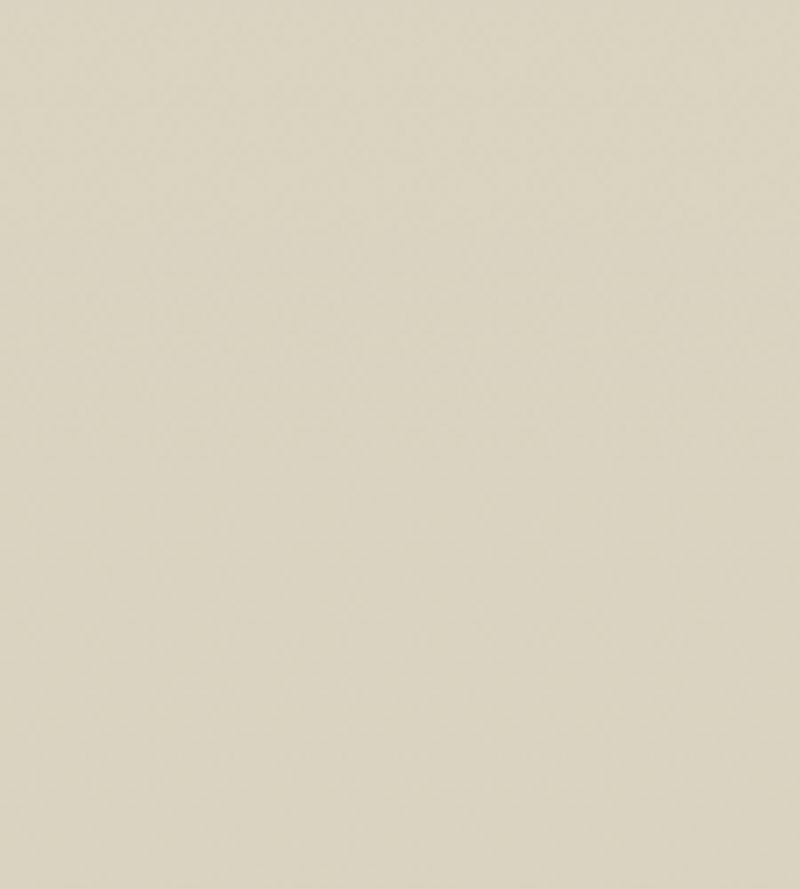 Pearwood Chalky Matt Paint Pearwood