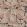 Acanthus Wallpaper Terracotta