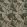Acanthus Tapestry Fabric Forest/Hemp