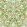 Bird Wallpaper Boughs Green
