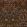 Blackthorn Wallpaper Rosewood
