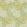 Chrysanthemum Wallpaper Pale Olive