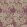 Chrysanthemum Wallpaper Wine