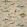 Dory Wallpaper Vellum