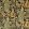 Forest Velvet Fabric Charcoal
