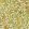 Fruit Wallpaper Lime/Green/Tan