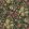Golden Lily Wallpaper Charcoal/Olive