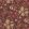 Golden Lily Wallpaper Fig/Burnt Orange