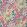 Golden Lily Wallpaper Pink Fizz