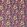 Golden Lily Velvet Fabric Serotonin Pink