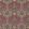 Honeysuckle & Tulip Wallpaper Burgundy/Sage