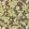 Leicester Wallpaper Chocolate/Olive