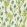 Monkshood Wallpaper Aqua/Peashoot