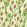 Monkshood Wallpaper Tangerine/Sage