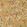 Scrolling Tulip Wallpaper Gold