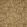 Snake & Tulip Wallpaper Antique Gold