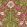 Spring Thicket Wallpaper Maraschino Cherry