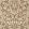 Sunflower Wallpaper Chocolate/Cream