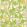 Trellis Wallpaper Summer Yellow