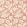 Wallflower Wallpaper Chrysanthemum Pink