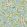 Wild Tulip & Vine Wallpaper Nettle/Woad