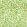 Willow Boughs Wallpaper Leaf Green