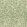 Willow Boughs Wallpaper Green