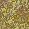 Fruit Wallpaper Chocolate
