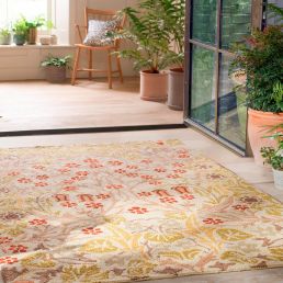 Blackthorn Outdoor rug Wheat 43950-200622 Wheat