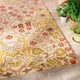 Blackthorn Outdoor rug Wheat 43950-200622 Wheat