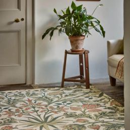Hyacinth rug Natural 48656-MOH0137-01 Natural