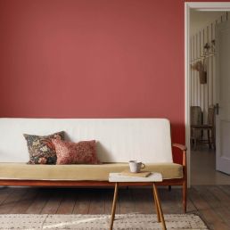 Barbed Berry Chalky Matt Paint Barbed Berry