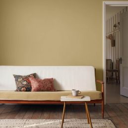 Citrus Stone Chalky Matt Paint Citrus Stone
