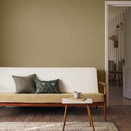Olive Fruit Acrylic Eggshell Paint Olive Fruit