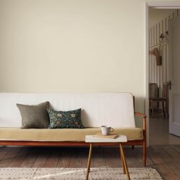 Pearwood Chalky Matt Paint Pearwood