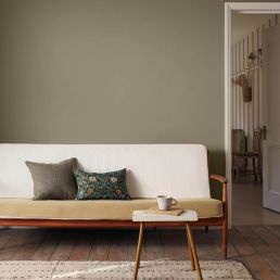 Standen Clay Acrylic Eggshell Paint Standen Clay