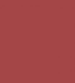 Thorned Rose Signature Emulsion Paint Thorned Rose