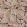 Acanthus Wallpaper Terracotta