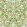 Bird Wallpaper Boughs Green