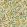 Fruit Wallpaper Beige/Gold/Coral