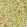 Fruit Wallpaper Lime/Green/Tan