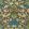 Hyacinth Wallpaper Enchanted Green