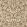 Sunflower Wallpaper Chocolate/Cream