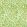 Willow Boughs Wallpaper Leaf Green