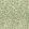 Willow Boughs Wallpaper Green